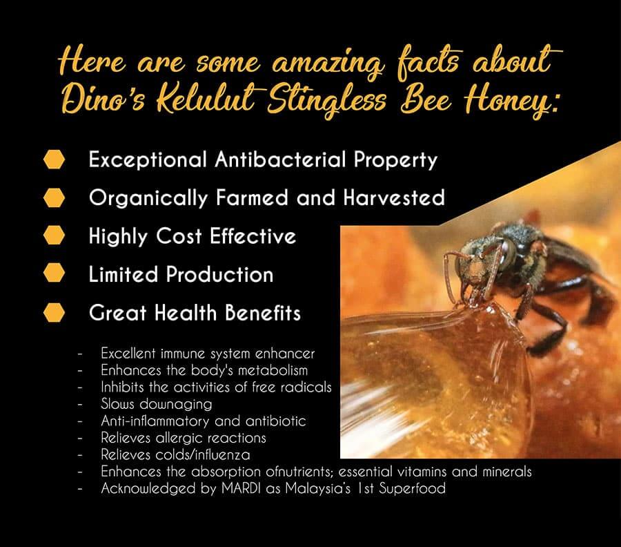 where to buy raw organic honey