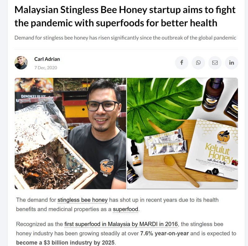 Dino-Kelulut - Beamstart - Honey producer