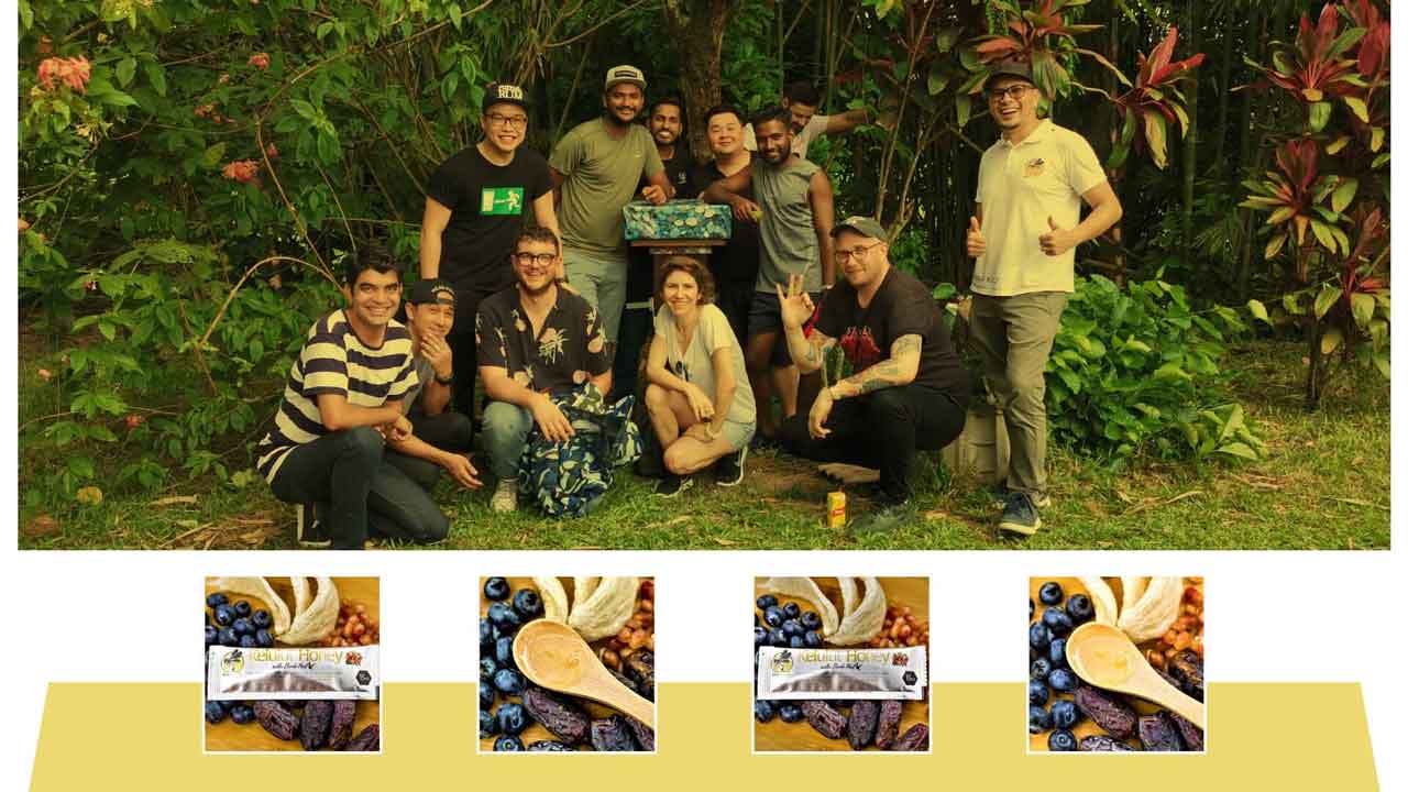Dino madu kelulut stingless bee trigona honey farm